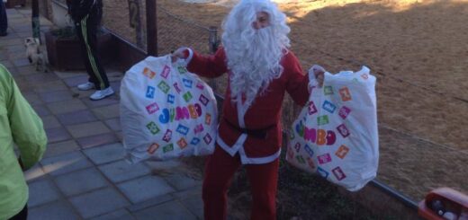 Ολοκληρώθηκε το επετειακό τουρνουά 3